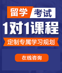 少萝被强奸可下载留学考试一对一精品课